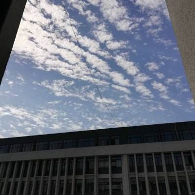 轩辕仙界官方最新版下载